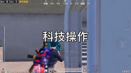 和平精英辅助【飞鸟】